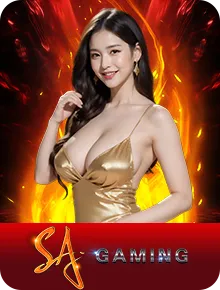 คาสิโน 2